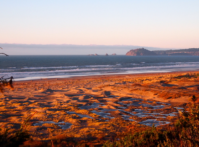 [Tidepools are well back from the water's edge. Land is seen beyond the water on the right.]